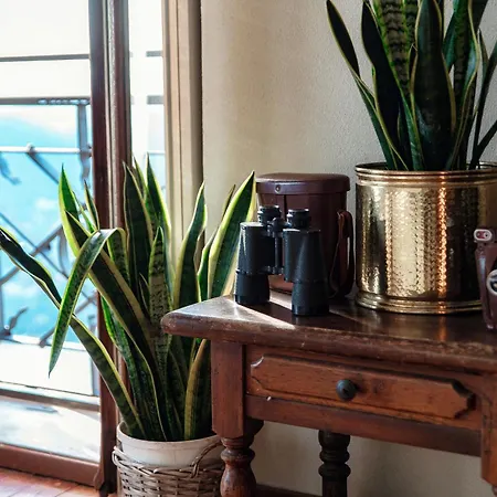 Almost Paradise By Quokka 360 - Flat With A View Of